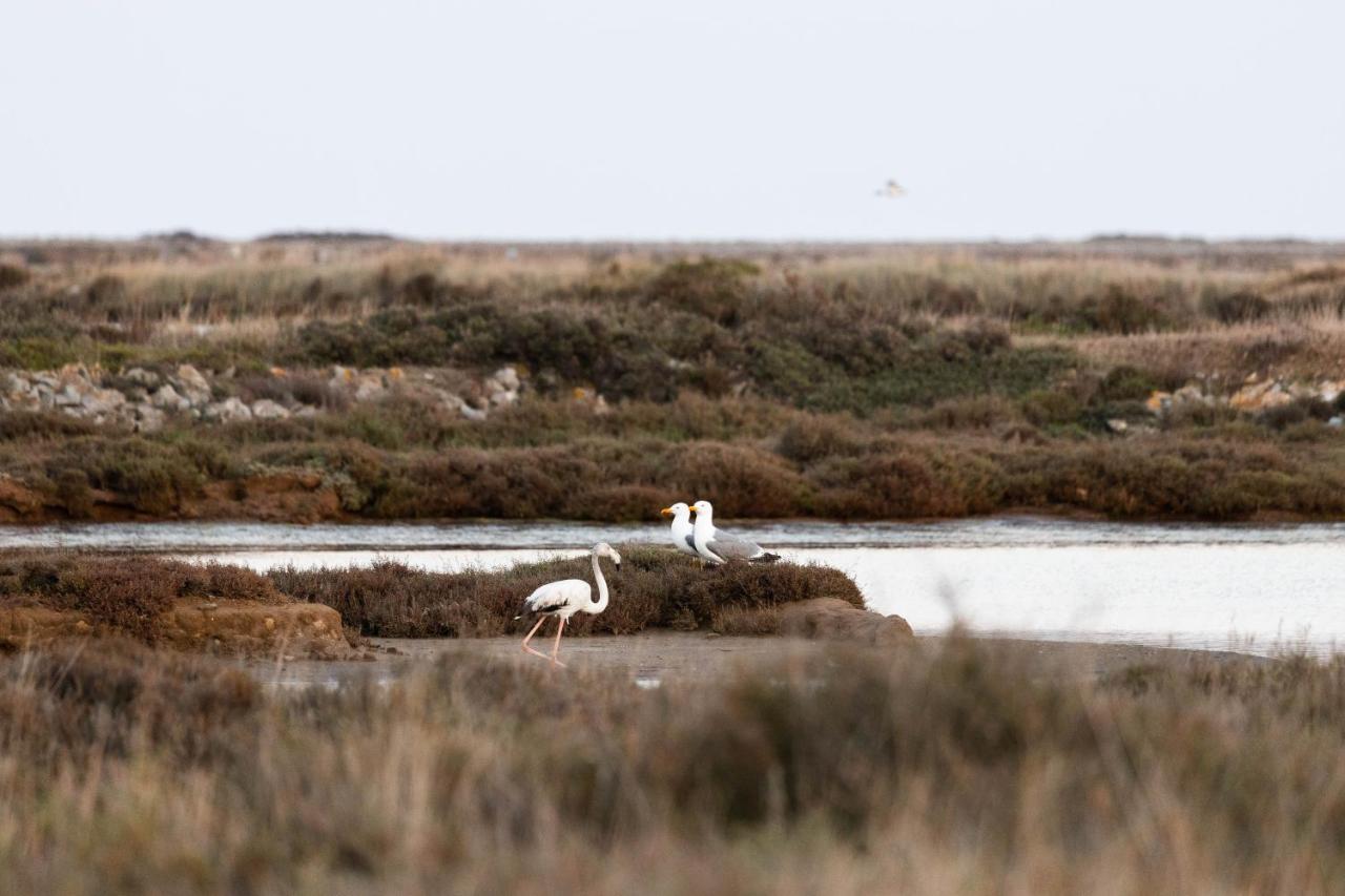Vvf Narbonne-Plage Saint-Pierre-La-Mer Fleury  Eksteriør bilde