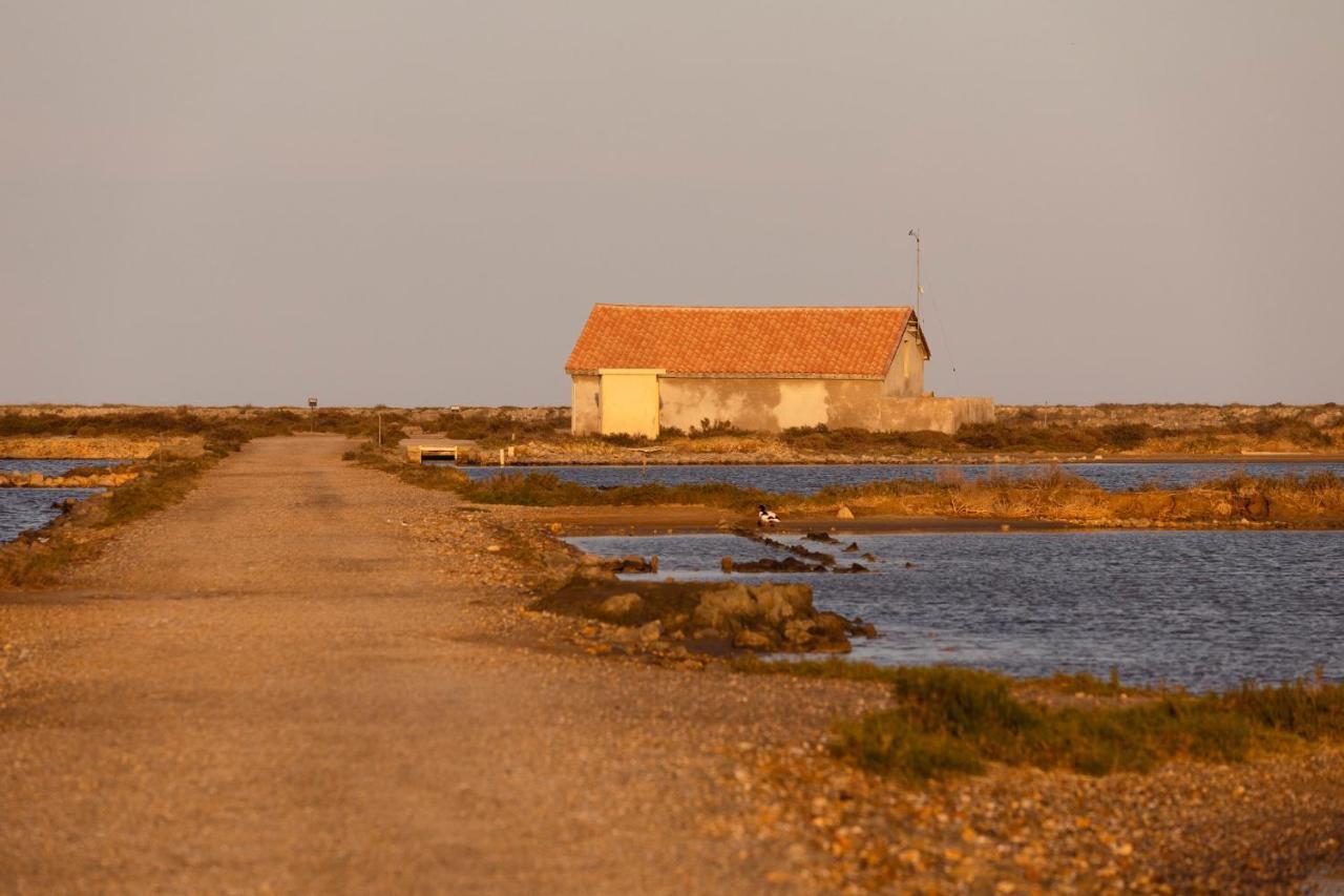 Vvf Narbonne-Plage Saint-Pierre-La-Mer Fleury  Eksteriør bilde